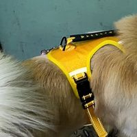 防爆冲胸背三月实测体验