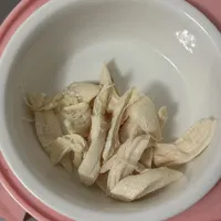 「48元一个月自制猫饭」刷屏，我重新算了一遍账：真实成本与三个必踩的坑