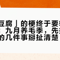 「卖霉豆腐」的梗终于要轮到你家厨房：九月养毛季，先把关于“霉”的几件事掰扯清楚