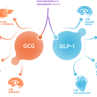 打玛仕度肽一个月只掉3公斤想换药？先算一笔账：临床试验的平均速度也就这样