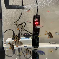 过滤没弄死裸缸，秋天的温差可能会：加热棒别等水温跌破22℃再上