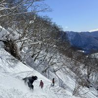 距开板90天，雪票涨到万元、酒店2000一晚没房：去日本滑雪的账，9月就该算完了