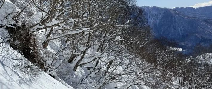 距开板90天，雪票涨到万元、酒店2000一晚没房：去日本滑雪的账，9月就该算完了