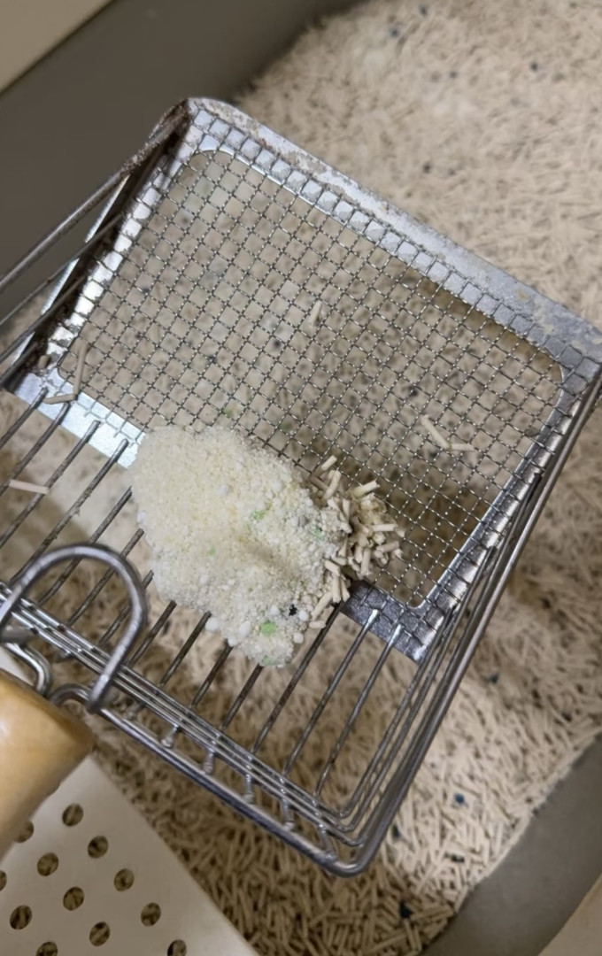 憨仕猫砂
