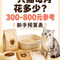 养猫不要头脑发热｜算清每月成本，寄养千万别乱选