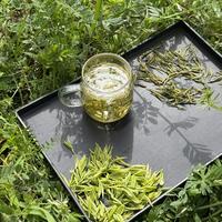 94条评论，一半是茶贩子：口粮茶软文过滤清单和跨平台经典作业