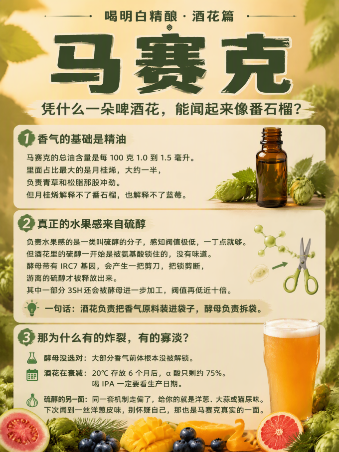 精酿啤酒