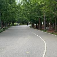 早晨跑步开始发凉了，你的"秋装运动服"大概率要买错：全网翻完一周帖子，给你一张按温度速查表