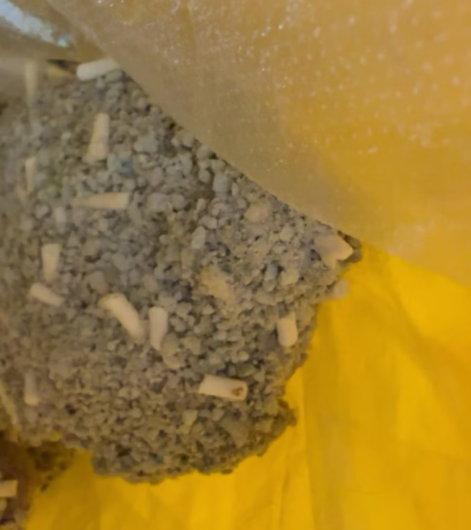 彼诞猫砂