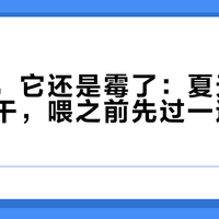 没拆封，它还是霉了：夏天囤的冻干肉干，喂之前先过一遍这个柜子