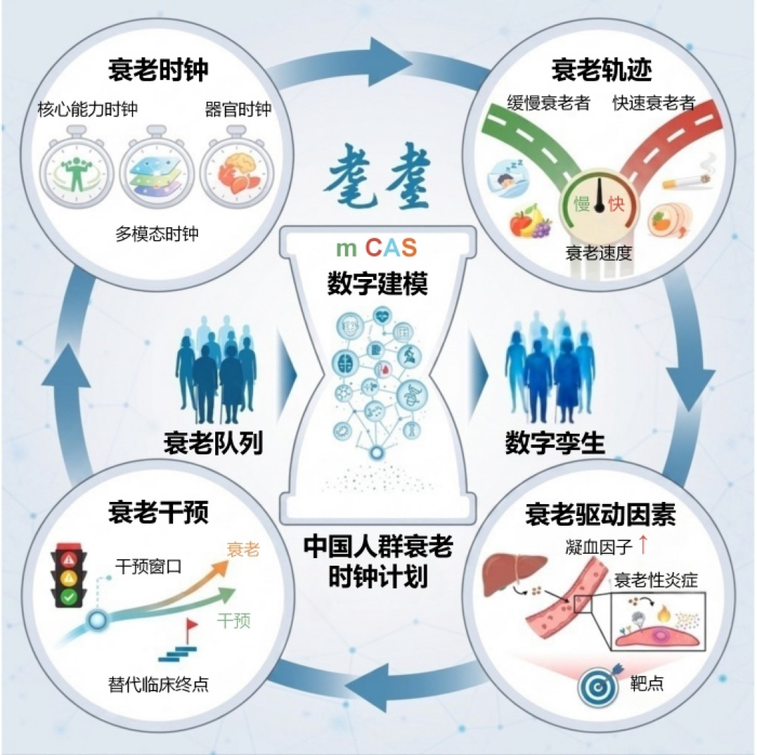 72岁的成龙真的老了，年轻时拼身体，老了以后拼什么？