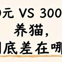 猫咪不懂价格只懂舒服｜养猫花钱优先级，我踩过的大坑全告诉你