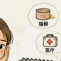 养猫真实账单大公开！别冲动接猫，附寄养踩坑血泪教训