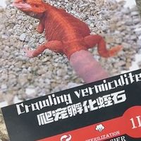 一款垫材搞定所有孵化！爬宠繁殖万能蛭石💯