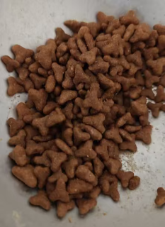 高蛋白猫粮改善挑食与肠胃健康