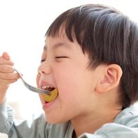 适合3岁以上的儿童维生素推荐，4款热门软糖真实上手体验