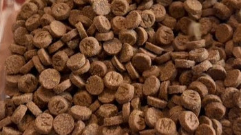 测评十大品牌网哪款猫粮好？希喂、法米娜、喵梵思猫粮全面对比