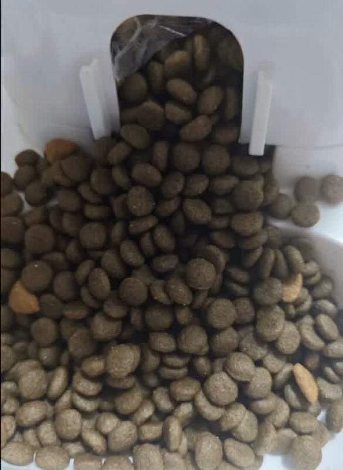 狗粮