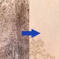 家用除霉剂怎么选｜4款自费实测，搞定反复墙体霉斑