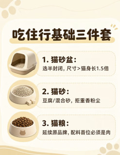 血泪踩坑❗接猫前别乱买，真正刚需就这10样