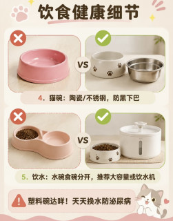 血泪踩坑❗接猫前别乱买，真正刚需就这10样