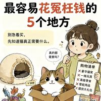新手养猫避坑｜5个最容易白花的钱，真实开销复盘