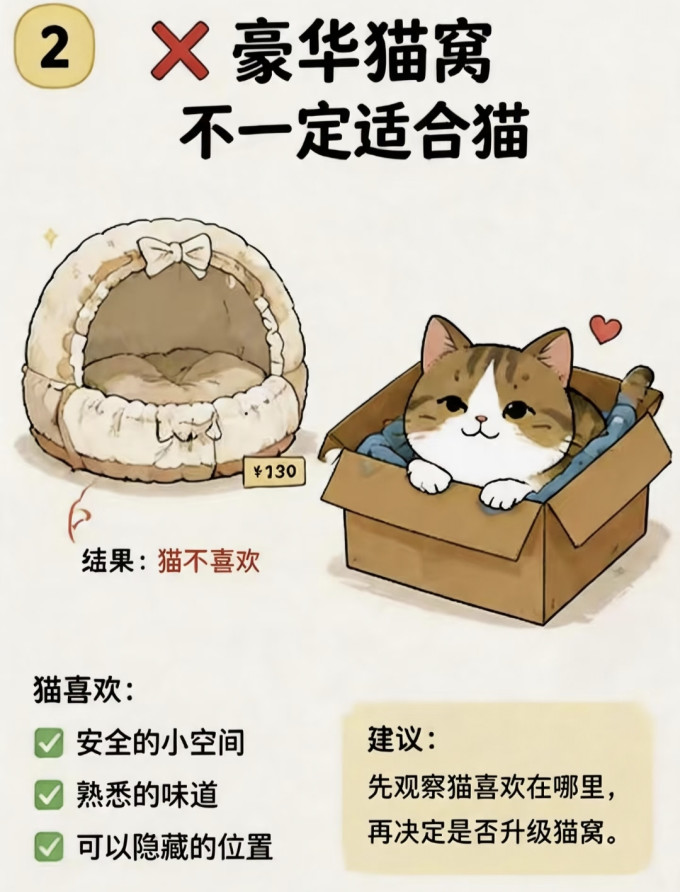 顽皮猫咪湿粮/罐头