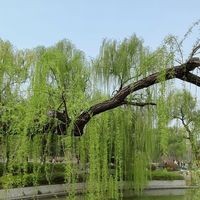 真实实测红黑榜！男士美白控油洁面乳，6 款调理油黑肤质