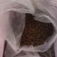 卫加大包装成犬粮实测体验