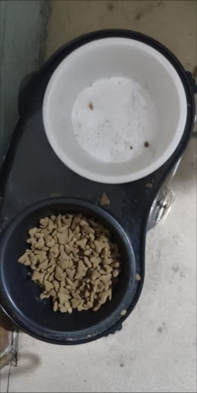 玫斯猫粮