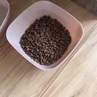 挑嘴猫狂炫?这款粮真香!