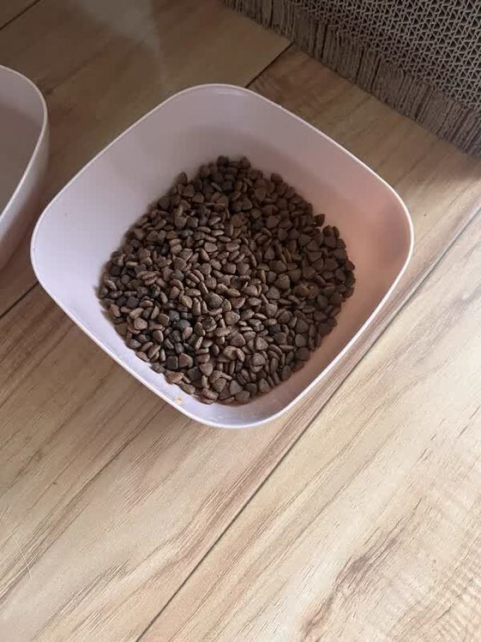 玫斯猫粮