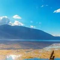 什么牌子的眼霜抗皱紧致的效果好？3款实力派淡纹紧致眼霜推荐