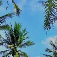 早八学生党选美白牙膏别上头，原料看得懂比一刷白更靠谱