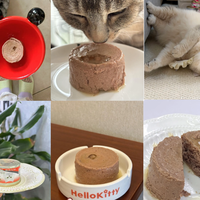 家里有只刁嘴猫？珍致这款大牌慕斯，实测连罐底都舔干净