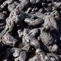 黄精啥品牌比较好？聊聊我多次踩坑后的真实选购心得