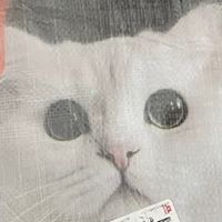 国民品牌，我家猫的安心口粮