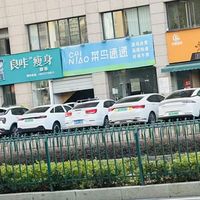 白色车，为什么越来越多？