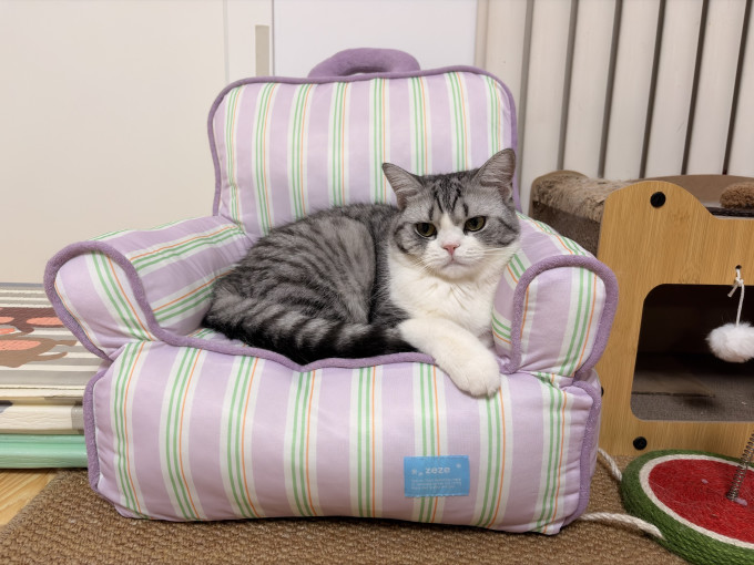 通用猫狗窝