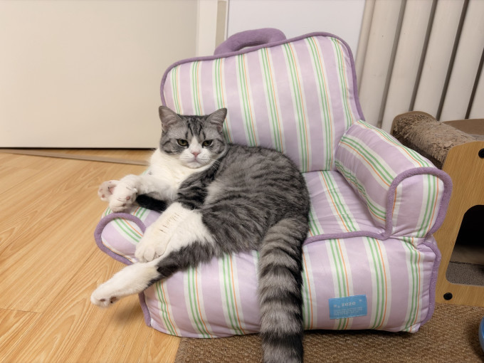 通用猫狗窝