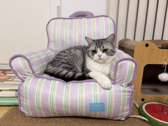 通用猫狗窝