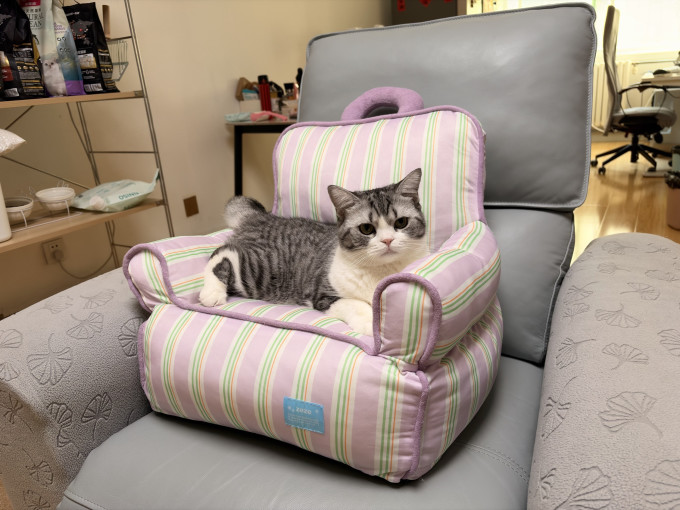 通用猫狗窝