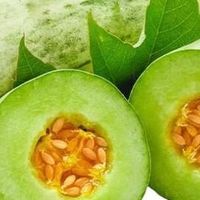 羊角蜜的春日风味与食用体验