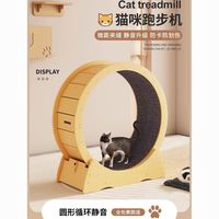 一台顶三台!跑轮+爬架+猫窝,这波不亏