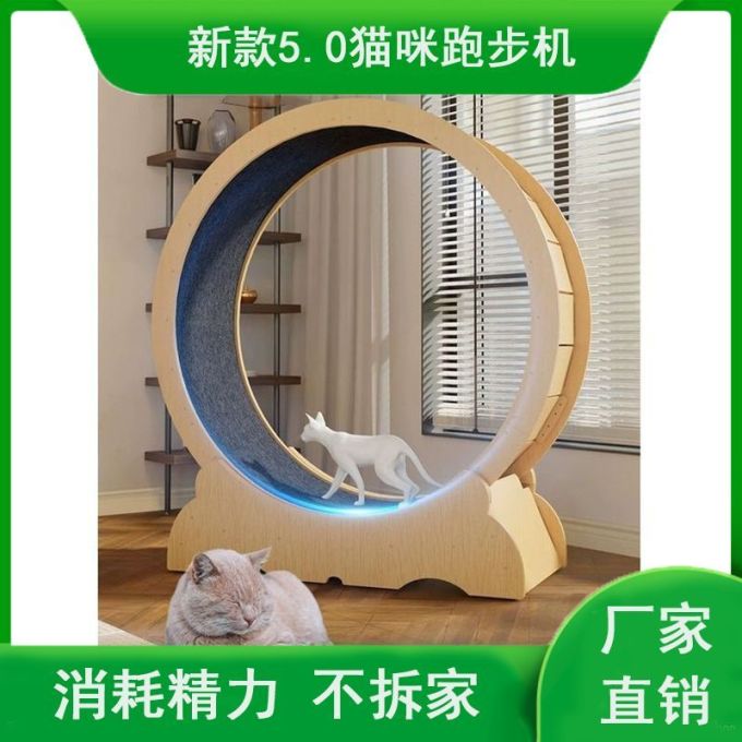 猫玩具