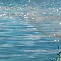 换季疯狂掉实测！多款热门防脱洗发水，强韧发根控油效果横评