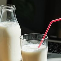 控糖人群挑糖尿病患者奶粉，低GI和无蔗糖要分开看