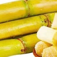 黄金甘蔗的多维用途与价值解析