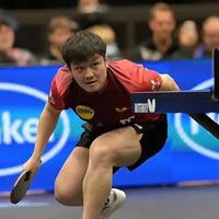 樊振东德国杯0-2落后顽强追平,决胜局11-13惜败户上隼辅止步16强