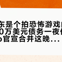 最大股东是个拍恐怖游戏的网红，9200万美元债务一夜偿清：GoPro官宣合并这晚，三类用户的账要重新算